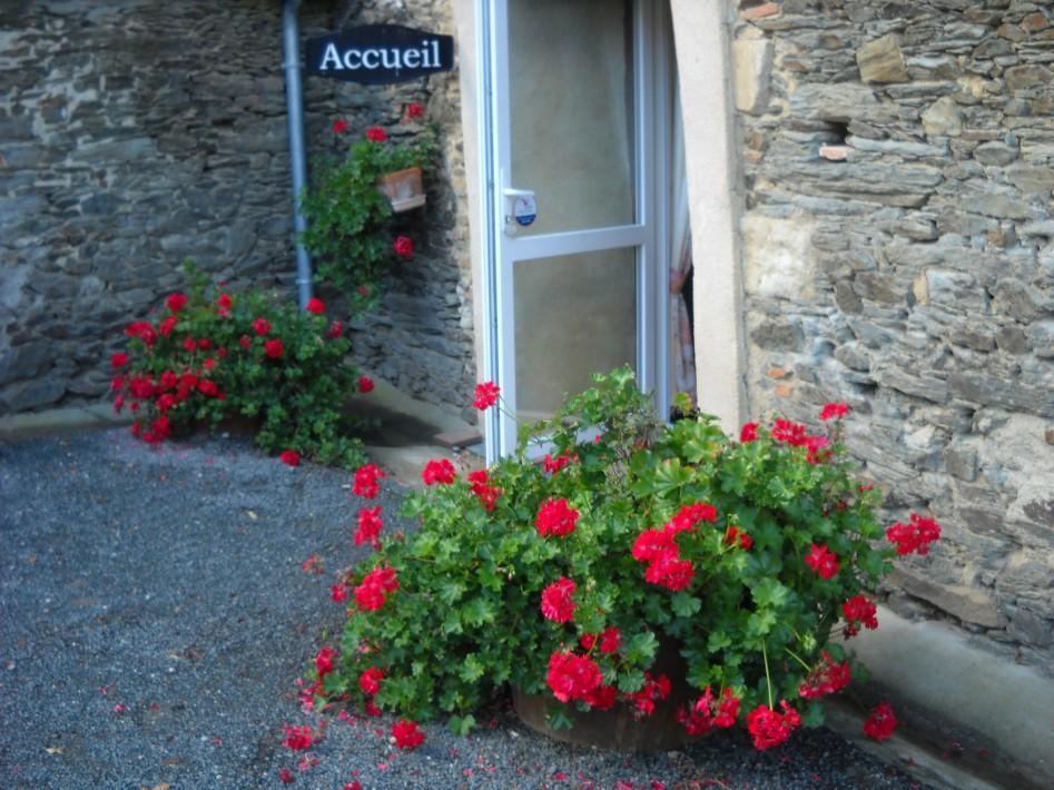Bed and Breakfast Domaine De La Cour Sainte-Gemme-d'Andigne Екстер'єр фото